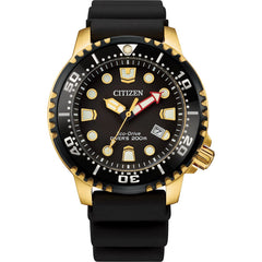 Citizen Eco-Drive Promaster Eco Dive Mens Stainless Steel
