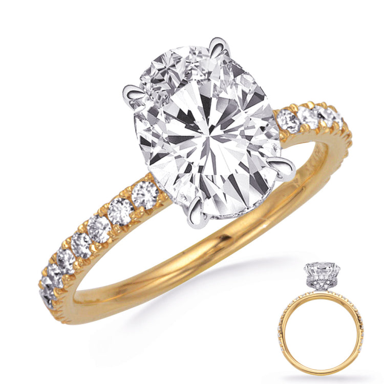 Yellow & White Gold  Engagement Ring