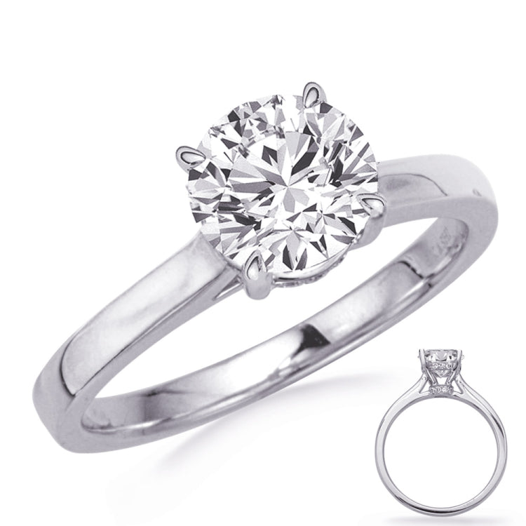 14 Kt White Gold Halo - Hidden Engagement Rings