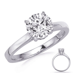 14 Kt White Gold Halo - Hidden Engagement Rings