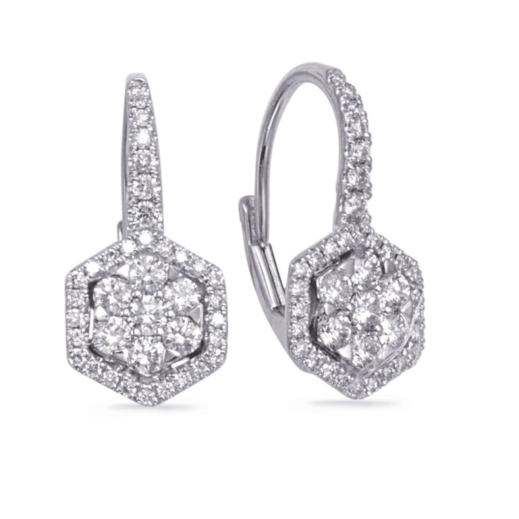 14 KT Rounds Shape White Gold Diamond Earring