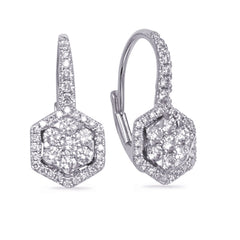 14 KT Rounds Shape White Gold Diamond Earring