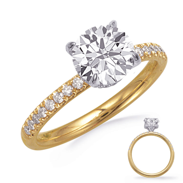 14 KT Rounds Shape Yellow & White Gold Engagement Ring