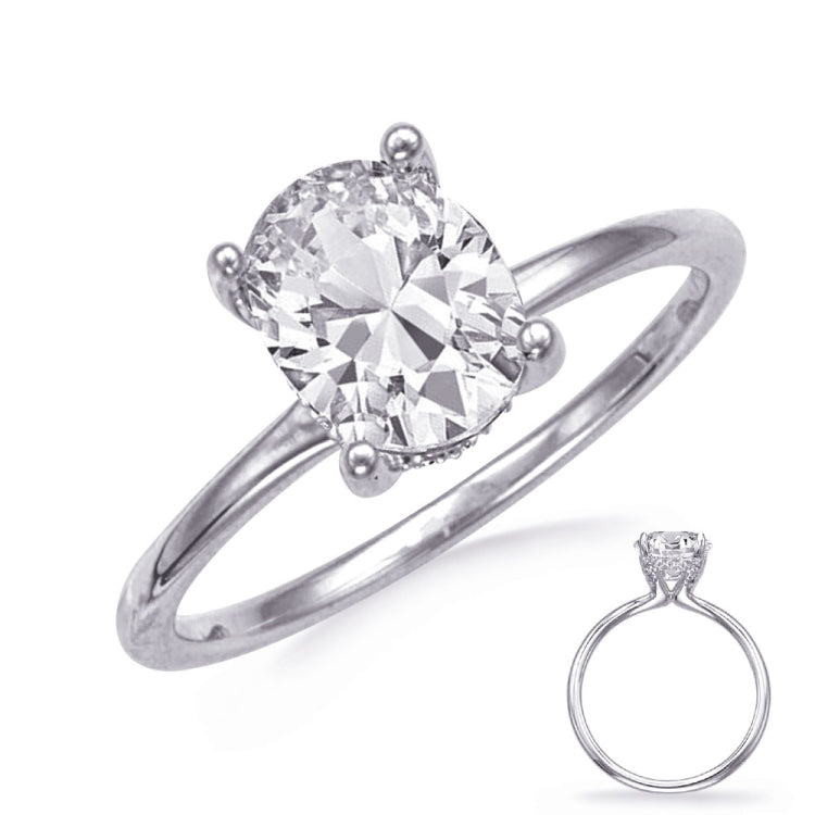14 KT Rounds Shape White Gold Engagement Ring