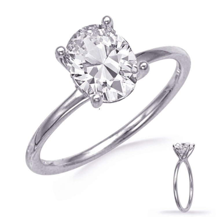 14 KT Rounds Shape White Gold Engagement Ring