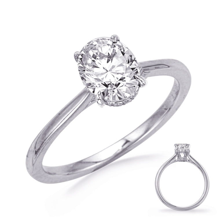 14 KT Rounds Shape White Gold Engagement Ring