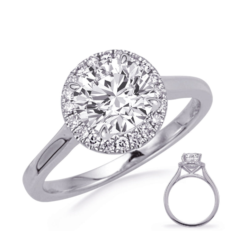 14 KT Rounds Shape White Gold Engagement Ring